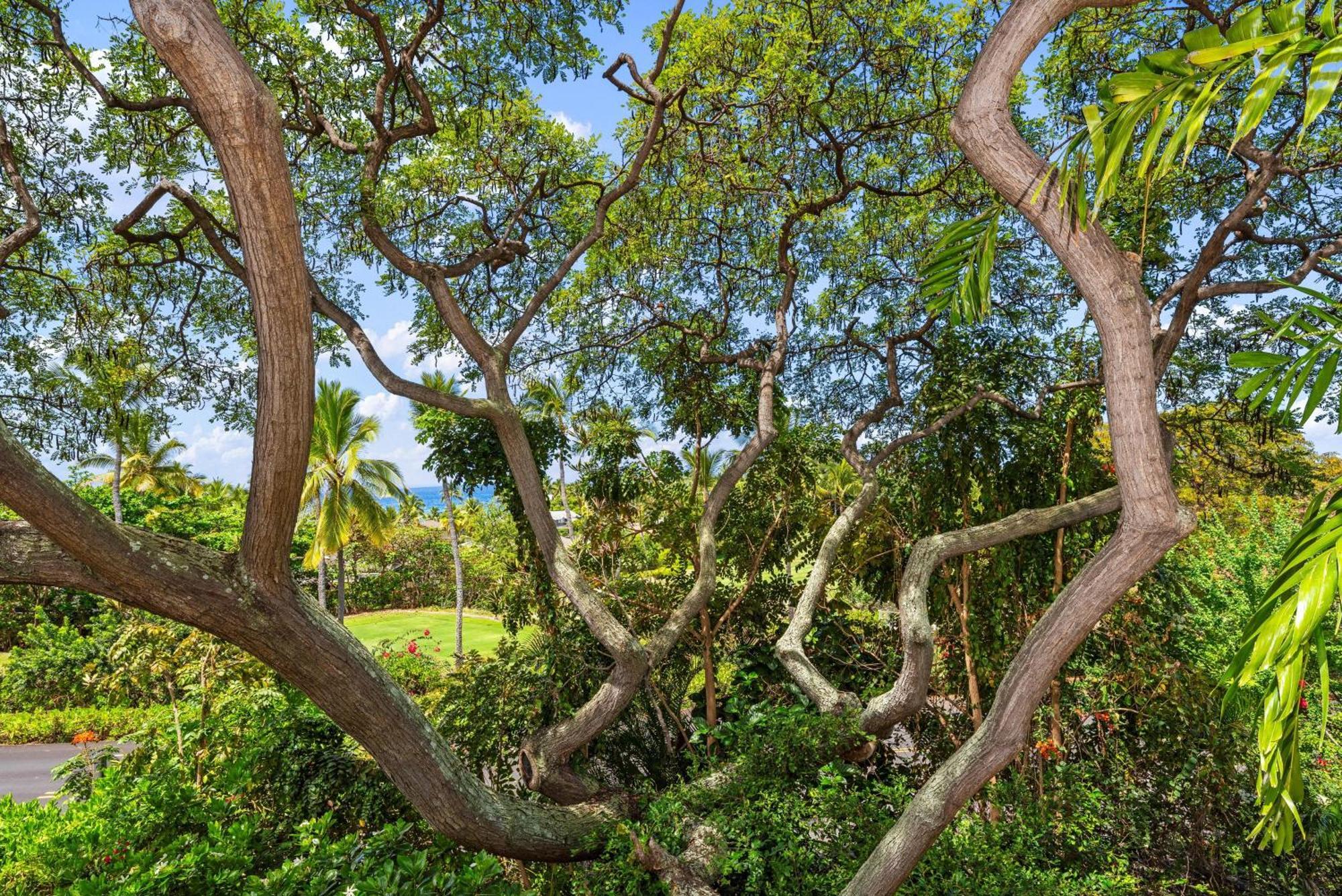"Makani Moana" At Keauhou Resort #104, Entire Townhome Close To Kona Kailua Kültér fotó